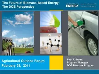 The Future of Biomass-Based Energy: The DOE Perspective