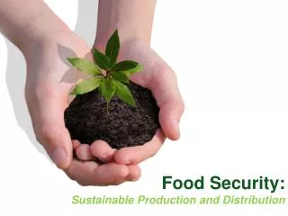Food Security: Sustainable Production and Distribution