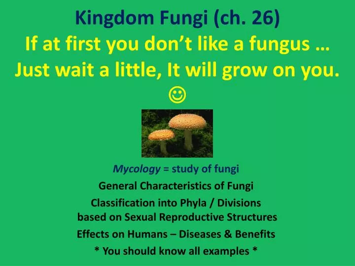 kingdom fungi ch 26 if at first you don t like a fungus just wait a little it will grow on you