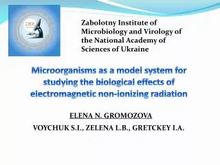 Zabolotny Institute of Microbiology and Virology of the National Academy of Sciences of Ukraine