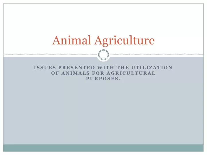 animal agriculture