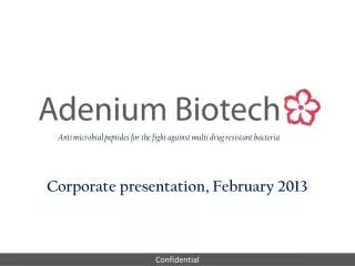 Corporate presentation, February 2013