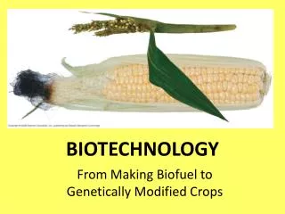 biotechnology