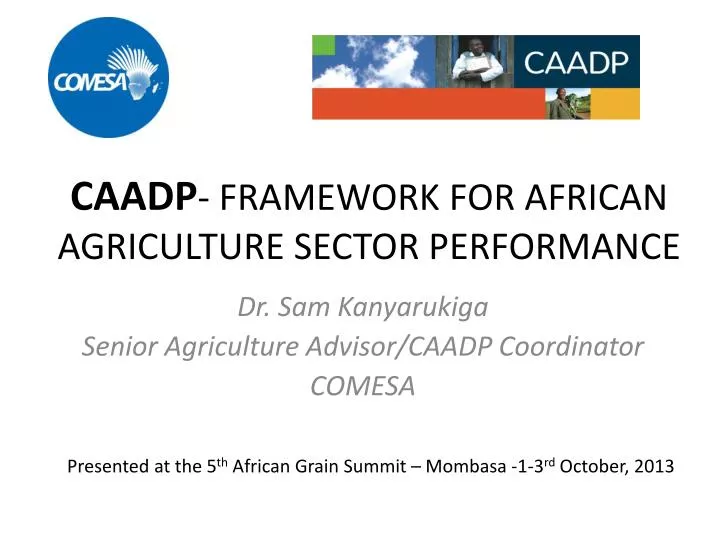 caadp framework for african agriculture sector performance
