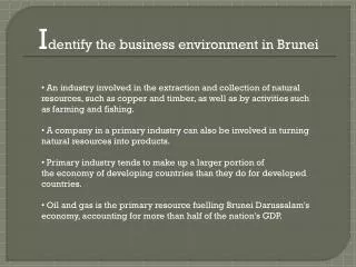 I dentify the business environment in Brunei