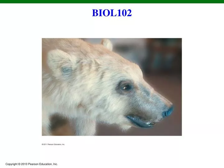 biol102