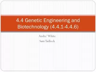 4.4 Genetic Engineering and Biotechnology (4.4.1-4.4.6)