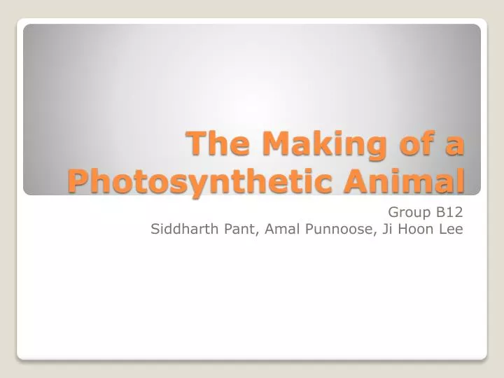 the making of a photosynthetic animal