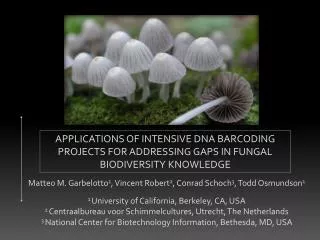 APPLICATIONS OF INTENSIVE DNA BARCODING PROJECTS FOR ADDRESSING GAPS IN FUNGAL BIODIVERSITY KNOWLEDGE
