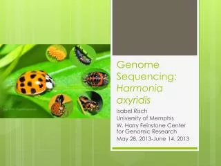 Genome Sequencing: Harmonia axyridis