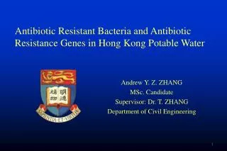 Andrew Y. Z. ZHANG MSc. Candidate Supervisor: Dr. T. ZHANG Department of Civil Engineering