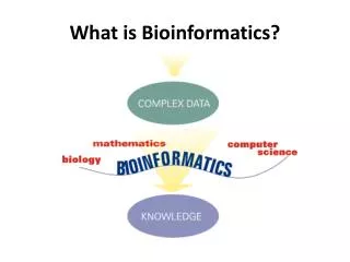 What is Bioinformatics?