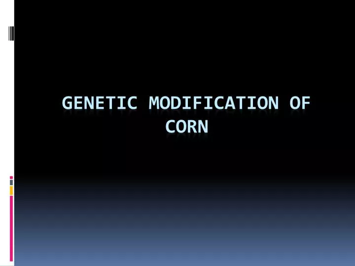 genetic modification of corn