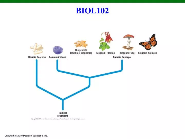 biol102