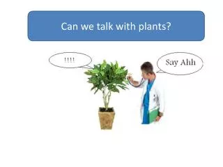Can we talk with plants?