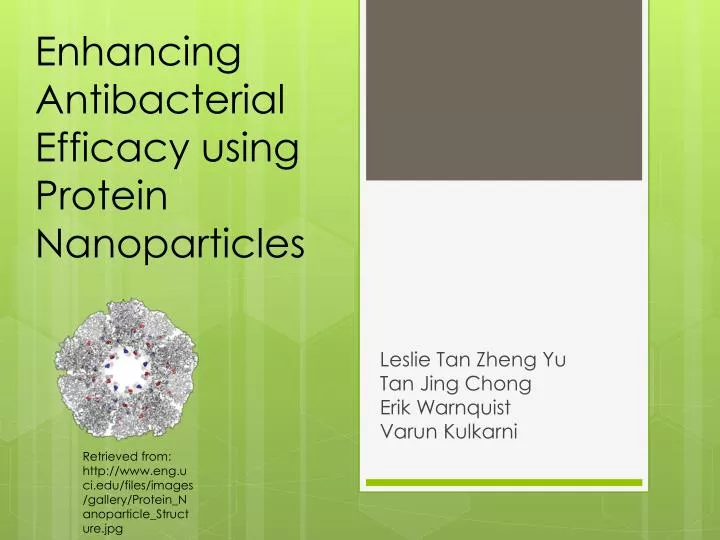 enhancing antibacterial efficacy using protein nanoparticles