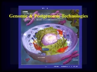 Genomic &amp; Postgenomic Technologies