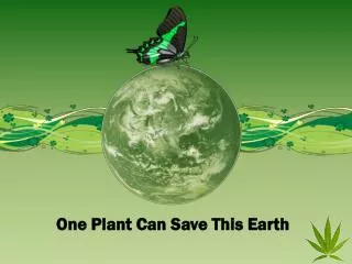 One Plant Can Save This Earth