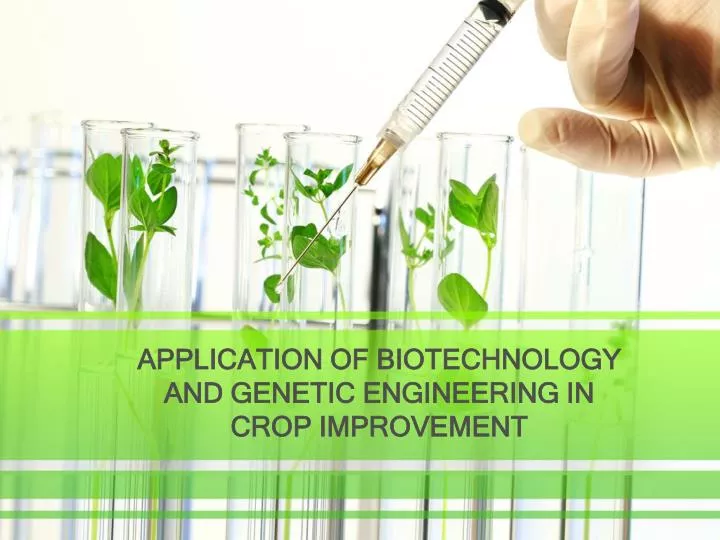 application of biotechnology and genetic engineering in crop improvement