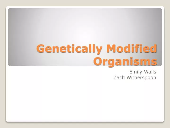 genetically modified organisms