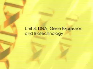 Unit 8: DNA , Gene Expression, and Biotechnology