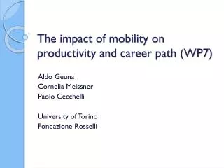The impact of mobility on productivity and career path (WP7)