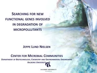 Jeppe Lund Nielsen Center for Microbial Communities Department of Biotechnology, Chemistry and Environmental Engin