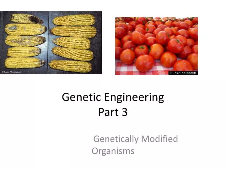 genetic engineering part 3