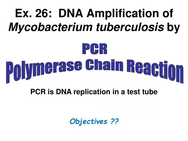 ex 26 dna amplification of mycobacterium tuberculosis by