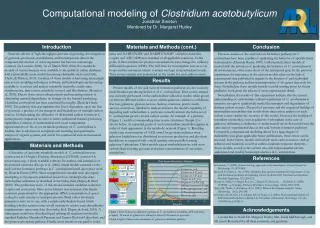 Computational modeling of Clostridium acetobutylicum Jonathan Smeton Mentored by Dr. Margaret Hurley