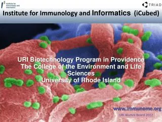 Institute for Immunology and Informatics ( iCubed )