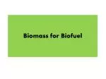 Biomass for Biofuel - slide 1