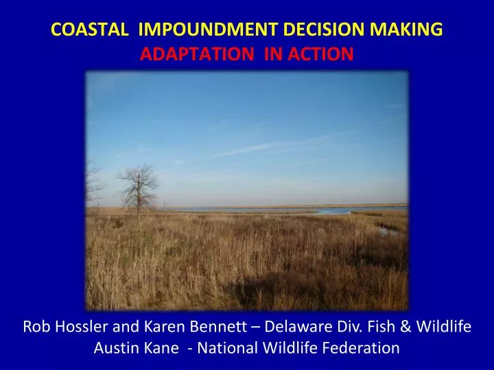 coastal impoundment decision making adaptation in action