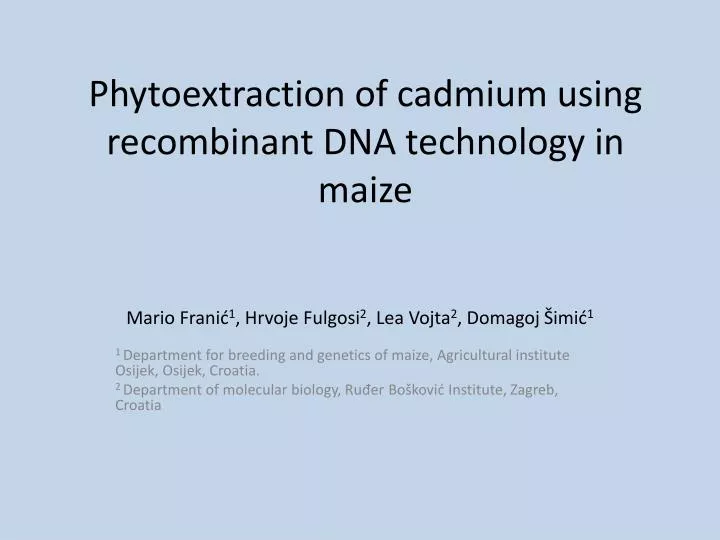 phytoextraction of cadmium using recombinant dna technology in maize