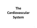 The Cardiovascular System - slide 1