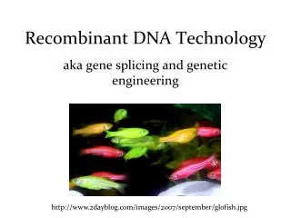 Recombinant DNA Technology