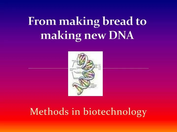from making bread to making new dna