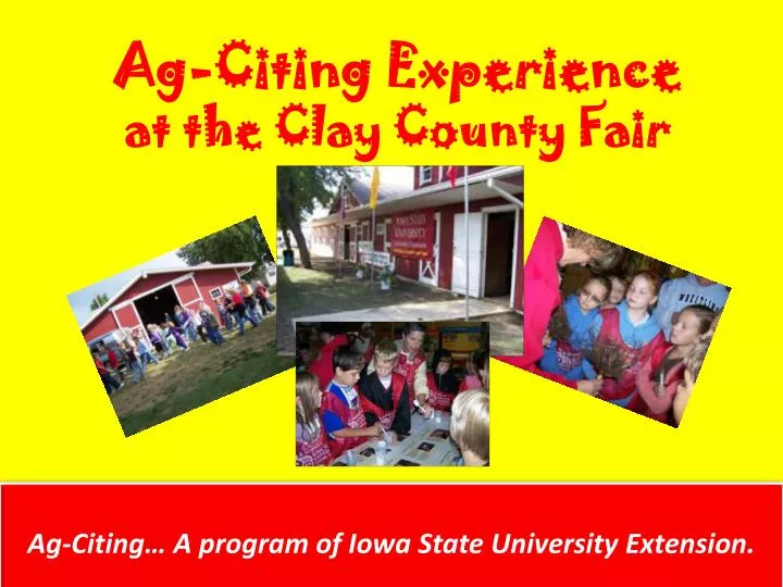 ag citing experience at the clay county fair