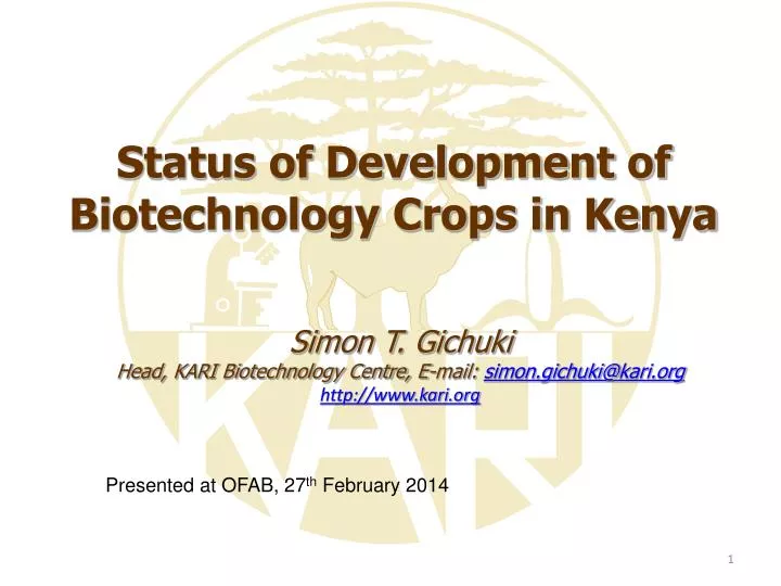 status of development of biotechnology crops in kenya