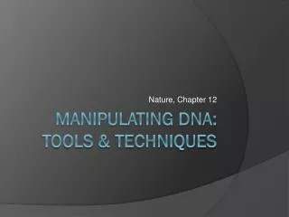 Manipulating DNA: Tools &amp; Techniques