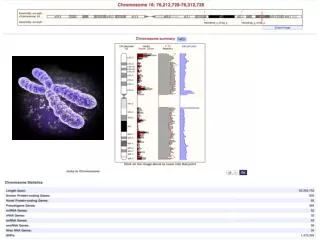 Bioinformatic analysis of chromosome 16. Cell type (s) selection . Trascriptomic and proteomic detailed analysis