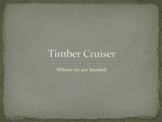 Timber Cruiser