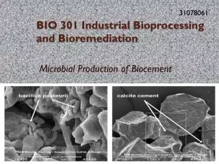 BIO 301 Industrial Bioprocessing and Bioremediation