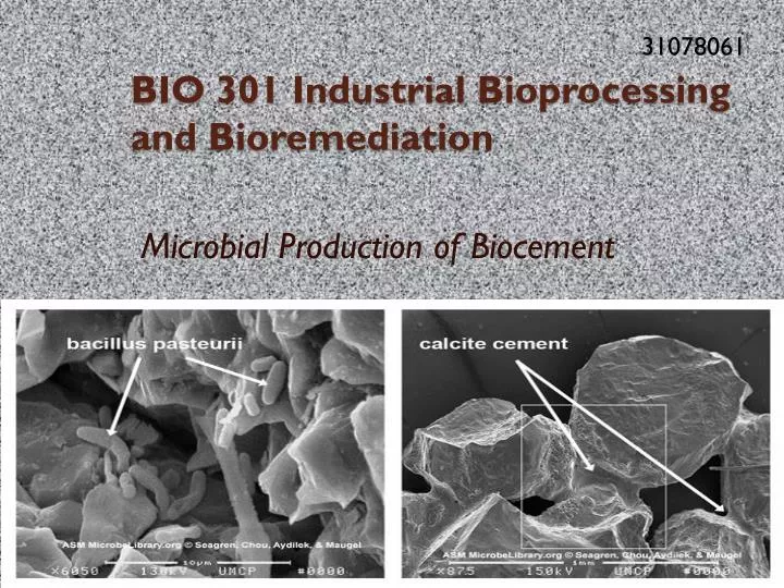 bio 301 industrial bioprocessing and bioremediation