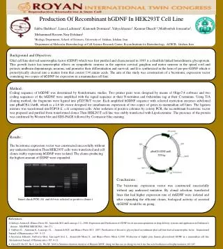 Production Of Recombinant hGDNF In HEK293T Cell Line