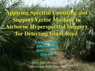 Applying Spectral Unmixing and Support Vector Machine to Airborne Hyperspectral Imagery for Detecting Giant Reed