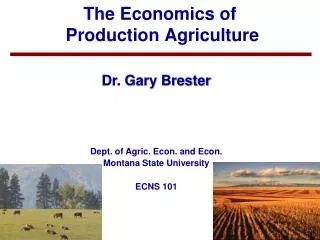 The Economics of Production Agriculture