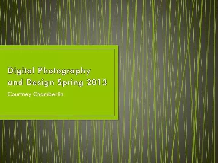 digital photography and design spring 2013