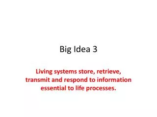 Big Idea 3