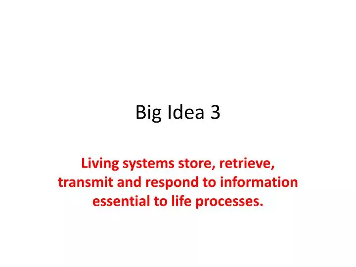 big idea 3